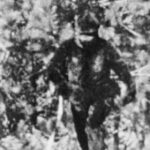 Bigfoot photo in northern California by Thomas Biscardi