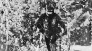 Bigfoot photo in northern California by Thomas Biscardi