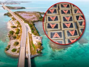 florida keys cocaine getty United States Border Patrol 1