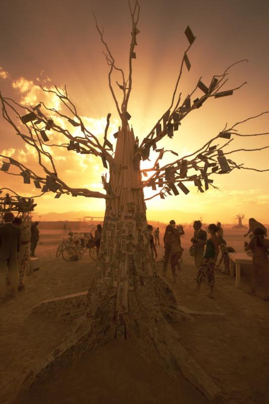 Death of Burning Man 2024 Attendee Under Investigation