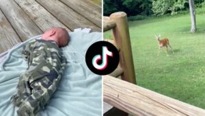 Deer mistakes woman’s crying baby for her fawn in viral TikTok