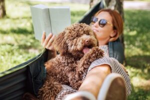 The 8 Most Popular Dog Breeds, New Report Shows — Best Life