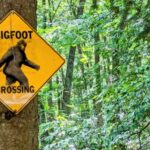 Bigfoot Crossing Sign in the Woods