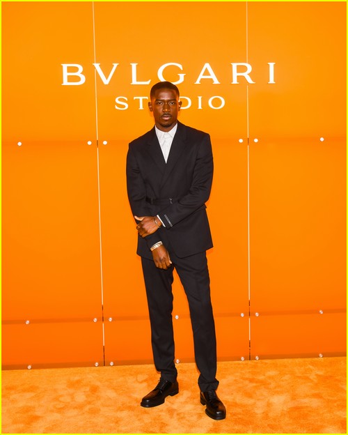 bvlgari studio party