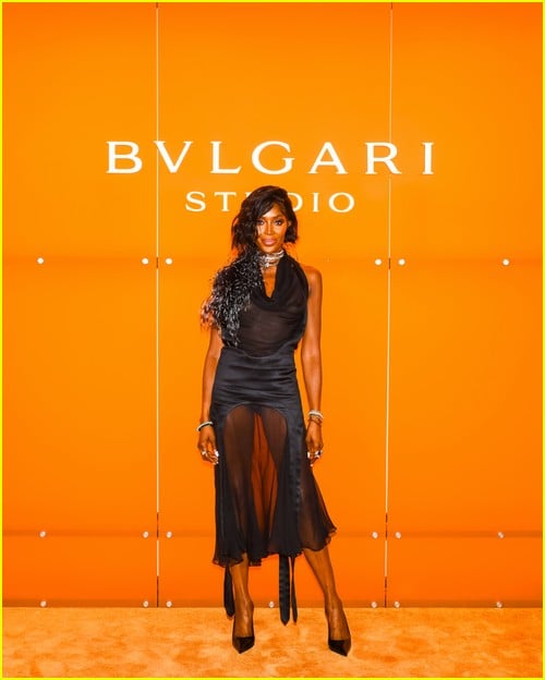 bvlgari studio party