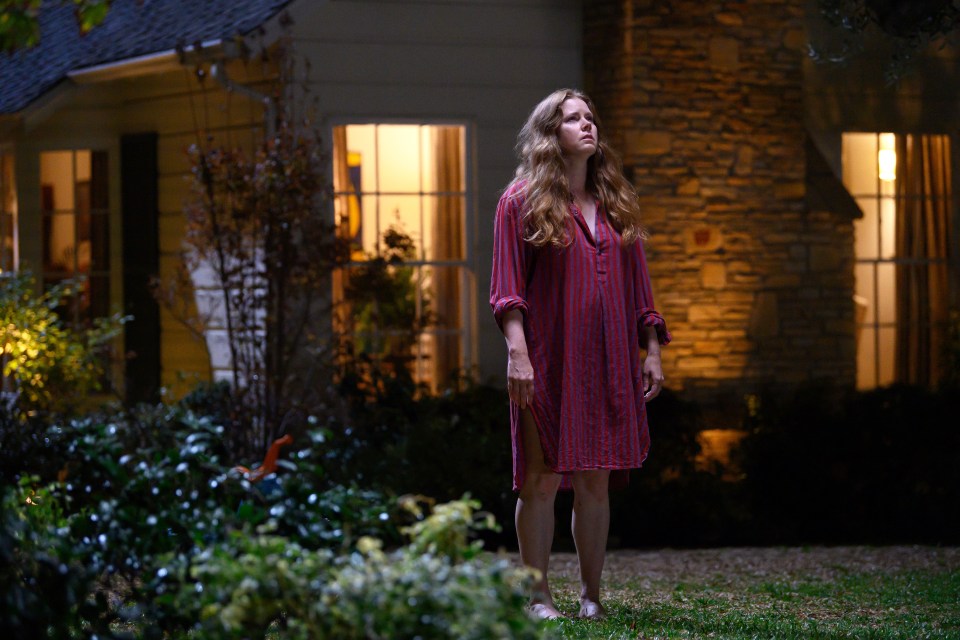 Amy Adams plays a woman who fears she's turning into a dog in the movie Nightb**ch