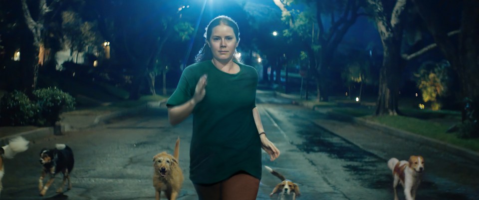 Amy Adams running with a pack of dogs in the trailer of her new film, Nightb**ch