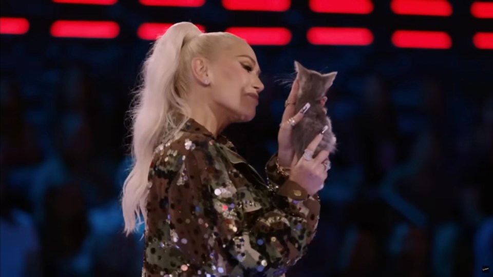 Gwen brought out a kitten on last night's show