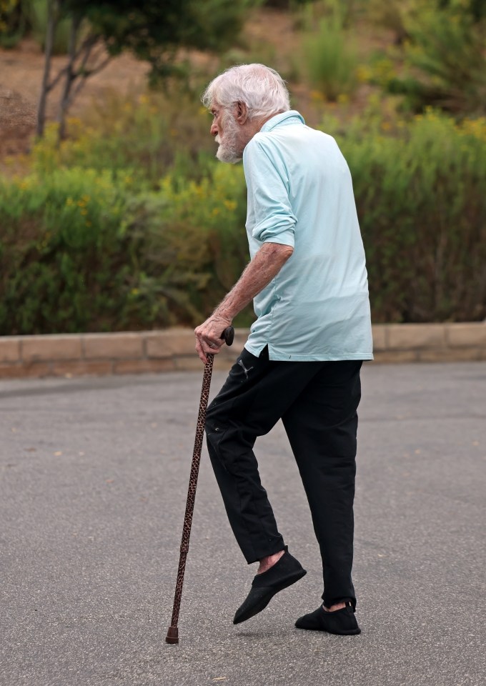 The Hollywood legend leaned on a leopard-print walking stick