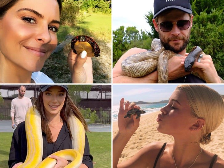 Celebs With Reptiles