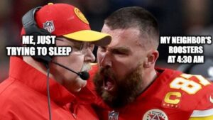 hilarious Travis Kelce meme