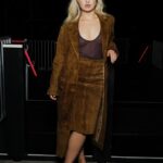 Anais Gallagher looked chic in suede