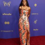 All the Celebrities Who Stunned at the 2024 Emmys Red Carpet