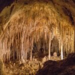 Carlsbad Caverns National Park with lights in the dark