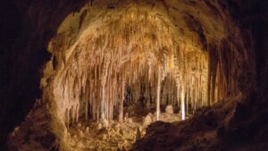 Carlsbad Caverns National Park with lights in the dark