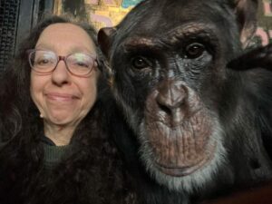 Aya Katz has posted thousands of bizarre videos on YouTube with her 22-year-old chimp Bow