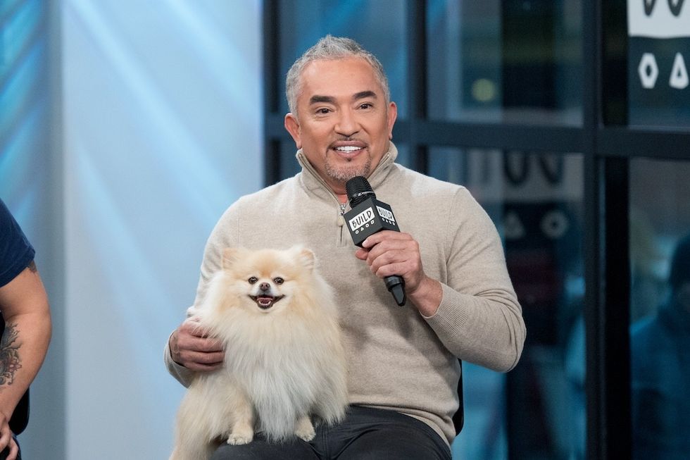 How to Stop Your Dog From Barking, According to Cesar Millan — Best Life