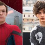 Timothee Chalamet was the first choice for Spider-Man