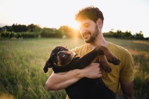 Watching dogs can make you big bucks