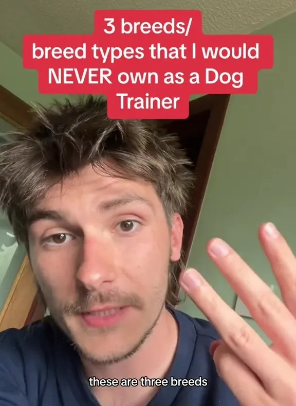 A dog trainer has revealed the three breeds he would never own