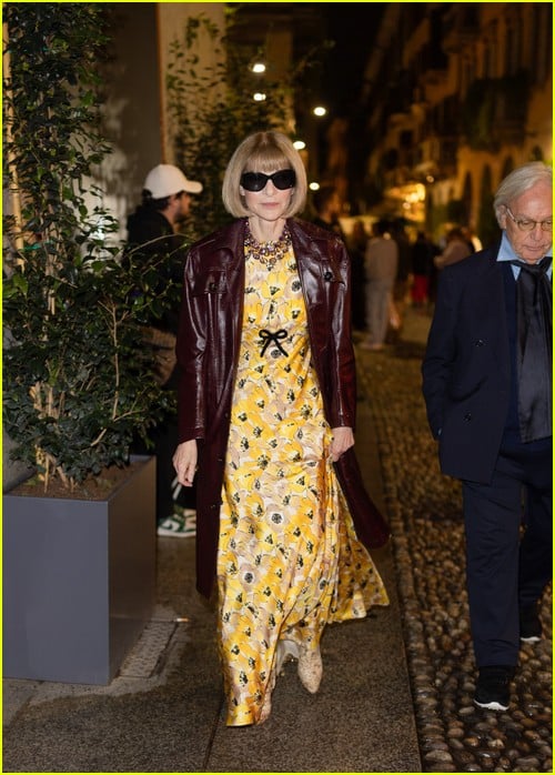 Anna Wintour at the Ray-Ban dinner