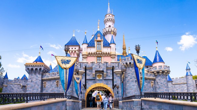 Disneyland Castle