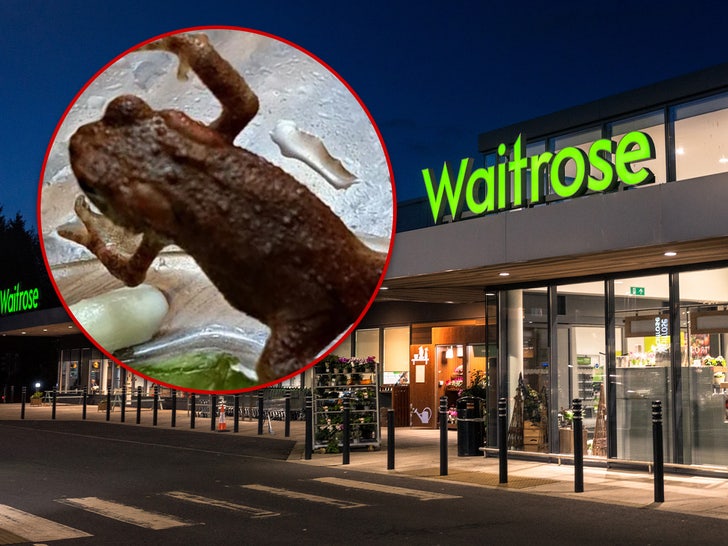 toad waitrose grocery store