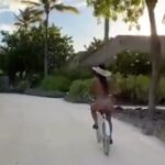 Nicole Scherzinger showed off her toned bottom riding a bike in Hawaii