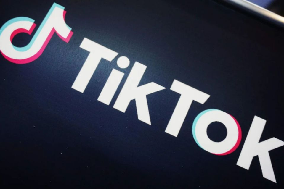 TikTok is one of the most popular social media platforms in the world