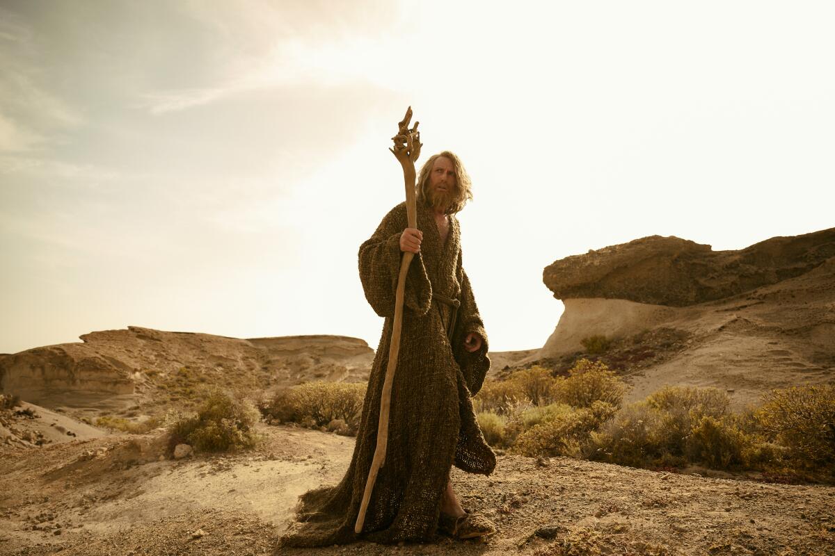 A wizard with long grey hair and a beard holds a wooden staff in his hand.