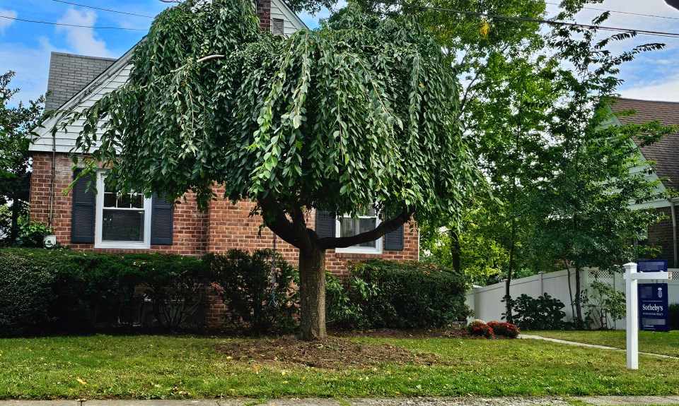 Rob Marciano toured the four-bedroom, three-bathroom brick house