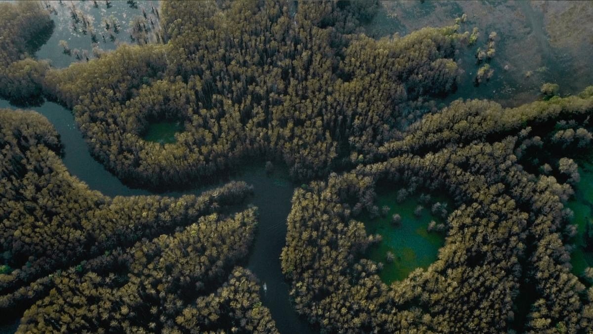 Caddo Lake