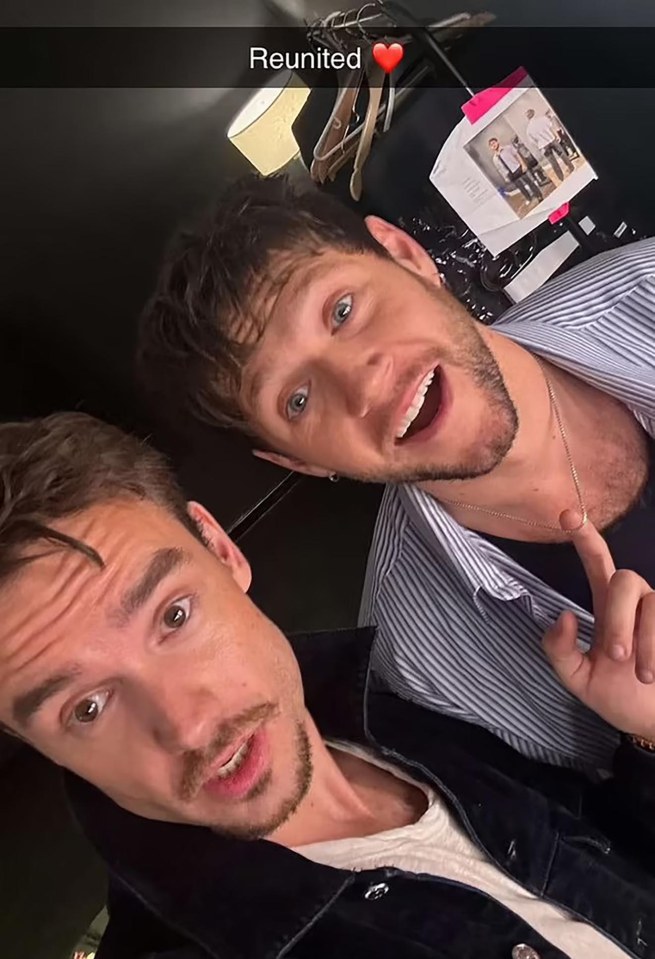 Liam reunited with former 1D bandmate Niall Horan days before his death