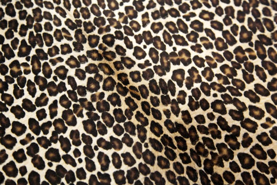 Loren described leopard print decor as "illegal"