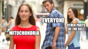 hilarious new meme about mitochondria