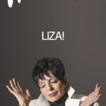 A Rare Interview With Liza Minnelli