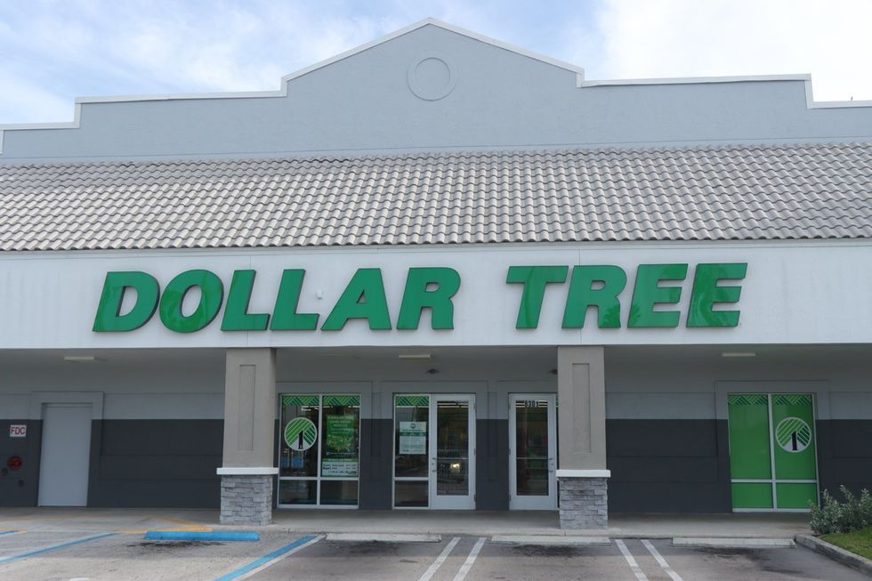 Dollar Tree's New Pet Food Has Good Ingredients for Dogs and Cats — Best Life