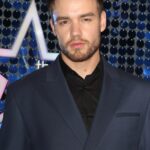 Liam Payne was reportedly dropped from his record label over concerns about his music