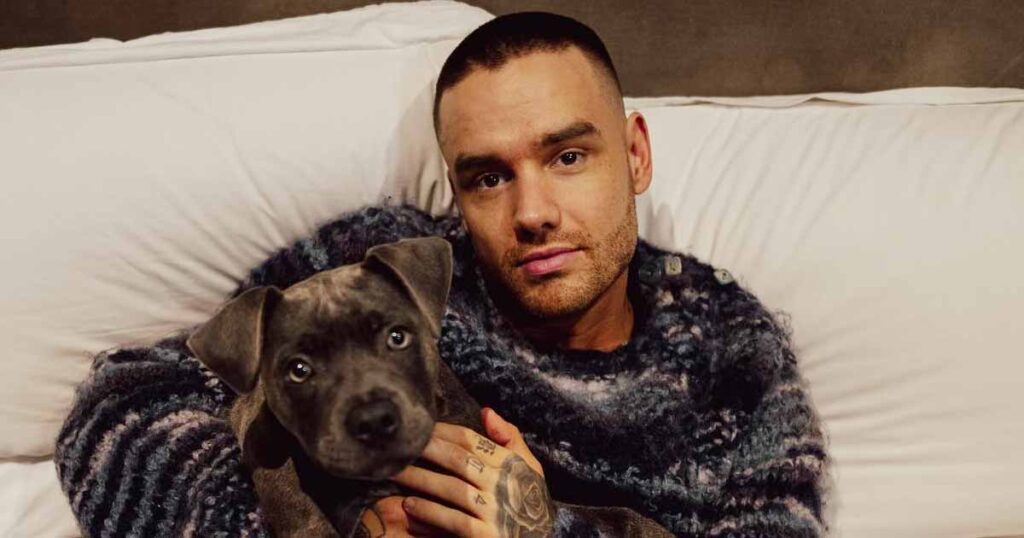 Liam Payne's Net Worth 2024 Revealed Amid Shocking News of One Direction Star's Tragic Death at 31!