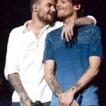 Louis Tomlinson revealed that he planned to work with Liam Payne again before his death