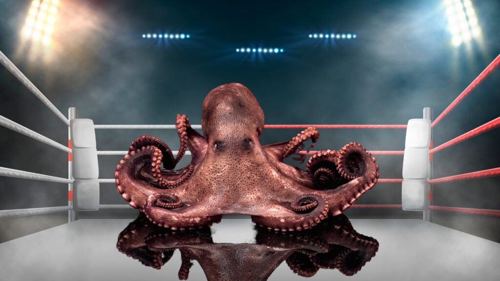 Octopus inside of a boxing ring