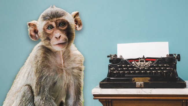 monkey next to typewriter