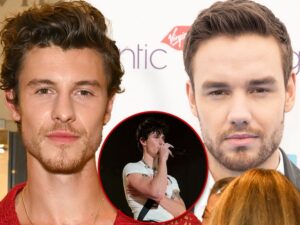 shawn mendes liam payne