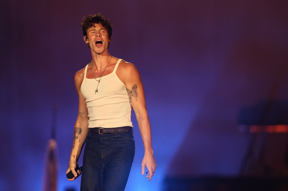 Shawn Mendes has candidly opened up about his sexuality after years of online speculation