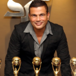 Sony Music Amr Diab