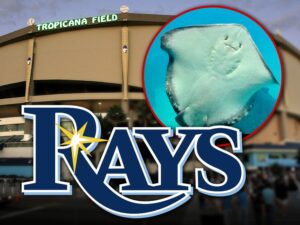 tropicana field tampa bay rays stingrays getty 1