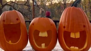 What is the ‘dumb ahh pumpkin’ trend? Goofy-looking gourds go viral on TikTok