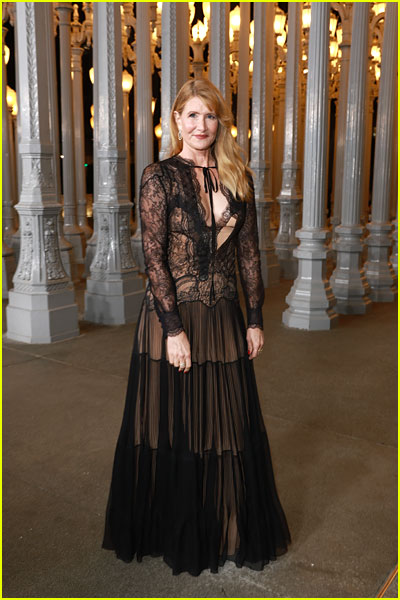 Laura Dern at the LACMA gala