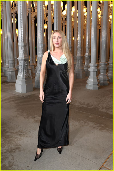 Ellie Goulding at the LACMA gala