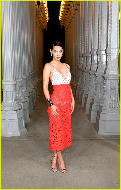 Ellis Ahn at the LACMA gala